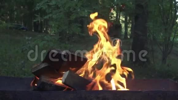 以夏季自然为背景在布拉齐尔烧柴烧食物视频的预览图