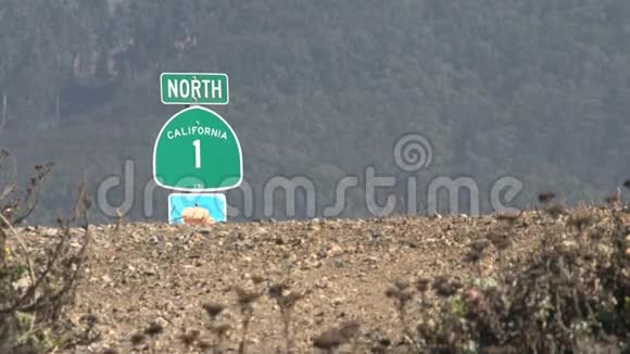 加利福尼亚州西海岸1号公路美国加利福尼亚州视频的预览图