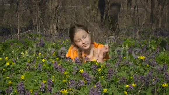 一个少女躺在春草里视频的预览图