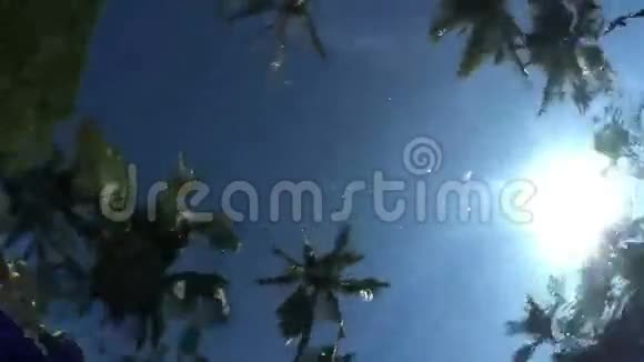 来自水下的热带树木视频的预览图