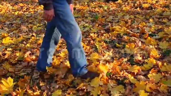 人走在秋天的森林小径上落叶丛生视频的预览图