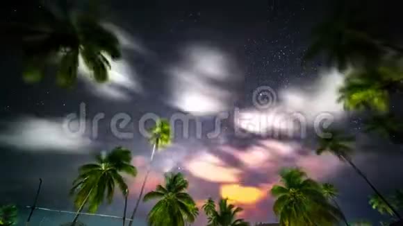 以棕榈树为背景的银河电影视频的预览图