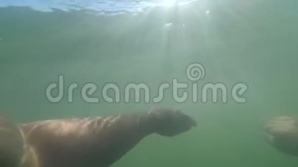 慢动作一个女人的POV正在海里游泳视频的预览图