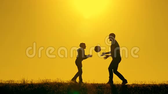 日落时分父亲和儿子在公园里打排球在灿烂的阳光下剪影视频的预览图