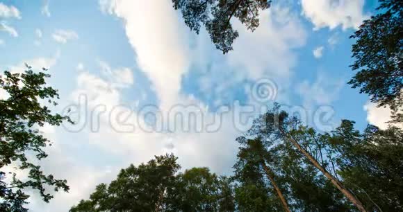 白天在森林中天空中云的移动视频的预览图