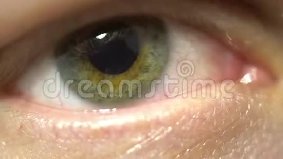 绿眼极致特写虹膜和瞳孔扩张收缩非常细致的宏观闪烁视频的预览图