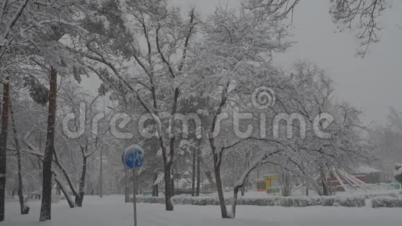 降雪视频的预览图