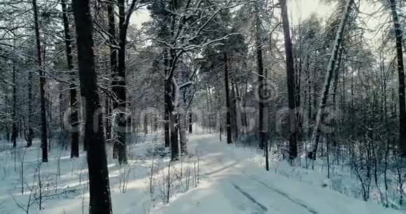 森林里的冬天第一人射击视频的预览图