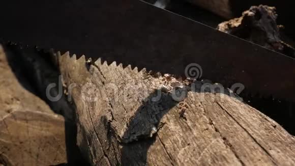 人锯木条生锈的手锯视频的预览图