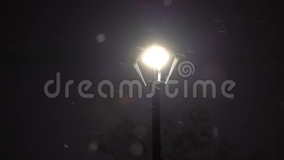 夜里雪落在灯笼上视频的预览图