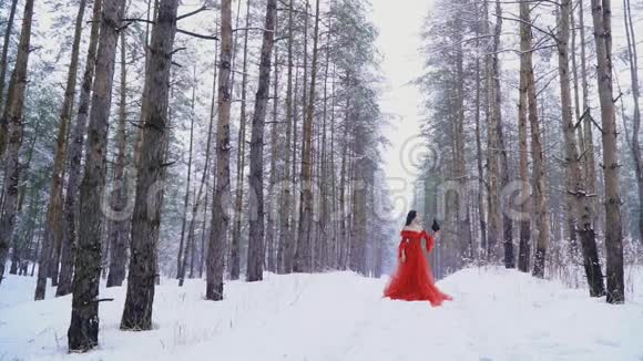 女孩和乌鸦冻在森林里的雪地里视频的预览图