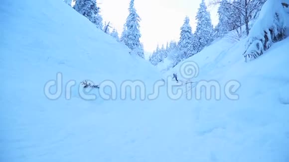 滑雪者在雪地森林里玩花样视频的预览图