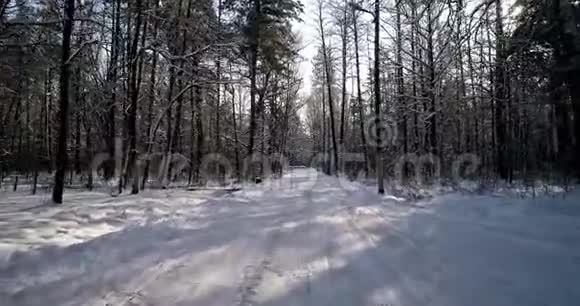 森林里的冬天第一人射击视频的预览图
