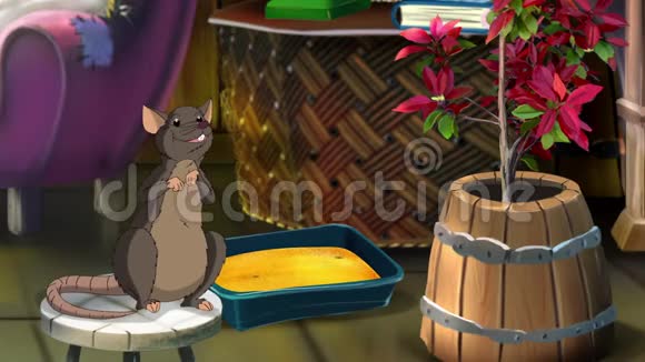 房间里的棕色老鼠动画视频的预览图