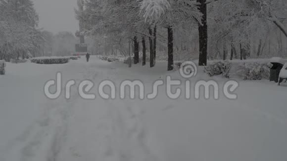 降雪视频的预览图