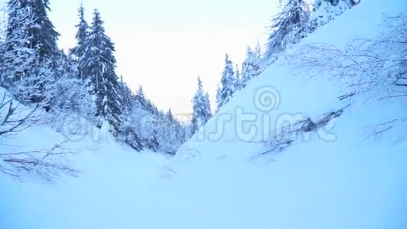 在冬天的山上拍摄白雪覆盖的森林视频的预览图