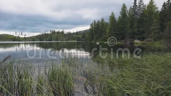 平静的山湖清澈的水和森林视频的预览图