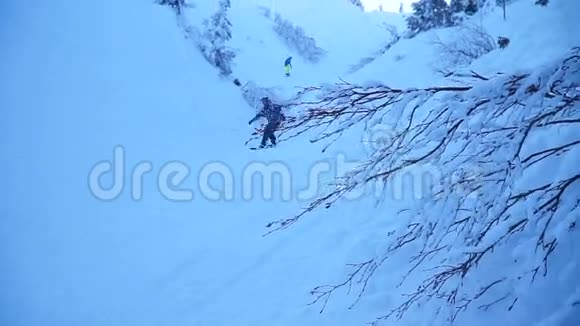两个滑雪者骑在雪林周围视频的预览图