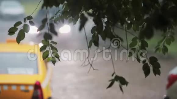 雨水倾泻在树枝上模糊的汽车经过背景上有一辆出租车视频的预览图