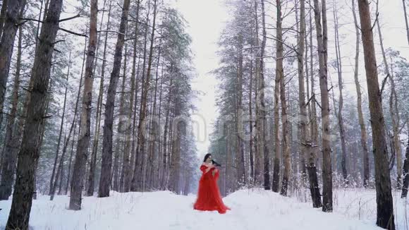 乌鸦向穿着红色长裙的女孩脆弱的手移动视频的预览图