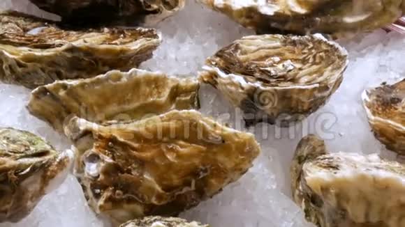 在西班牙的鱼市柜台大量新鲜牡蛎和其他海产品在冰面上视频的预览图