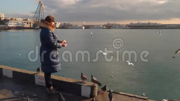 在水边喂海鸥的女人视频的预览图