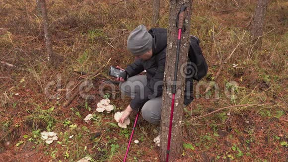 带着药片的人在森林里探索蘑菇视频的预览图