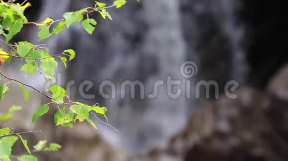 舒缓平静的瀑布九月在苏格兰生命之水布阿尔瀑布视频的预览图