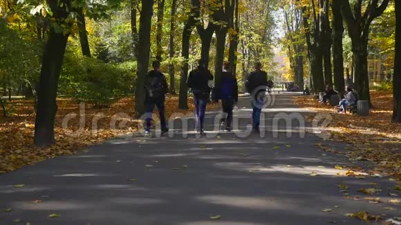 在秋天的一天人们沿着公园的小巷散步时间唇视频的预览图