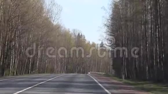 俄罗斯柏油路配车沿路的树木车在路上行驶俄罗斯列宁格勒地区2019年4月30日视频的预览图
