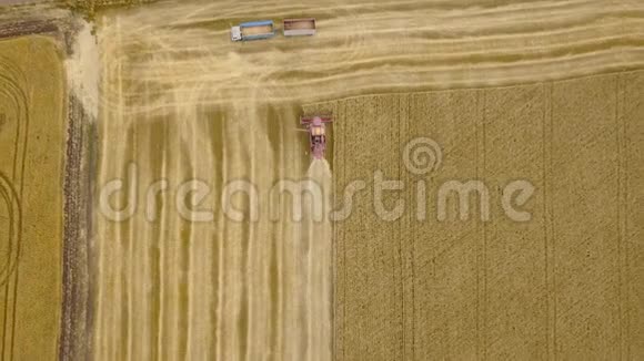从联合收割机上方的高空俯视在卡车附近的日落处收集小麦收获粮田作物视频的预览图