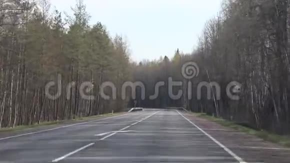 俄罗斯柏油路配车沿路的树木车在路上行驶俄罗斯列宁格勒地区2019年4月30日视频的预览图