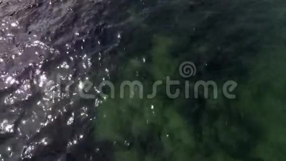 水的俯视图浅水中的绿水背景视频的预览图