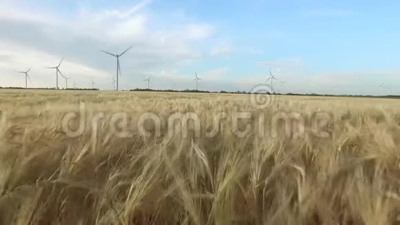 农业景观在金色麦田和风力涡轮机的背景下晴空万里空中勘测关闭视频的预览图