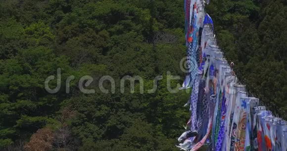 木匠彩带在岩崎大桥白天阳光复印空间视频的预览图