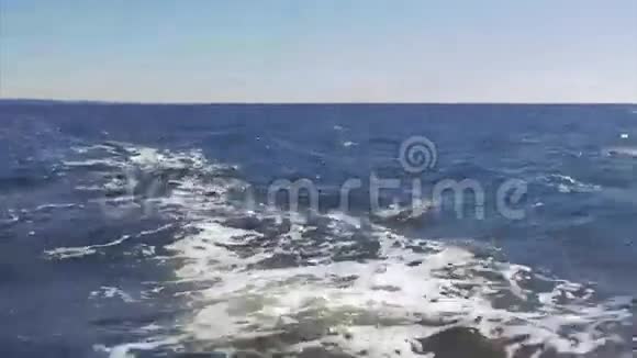 海深渊涨浪视频的预览图