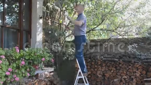 人在台阶上修剪灌木丛视频的预览图