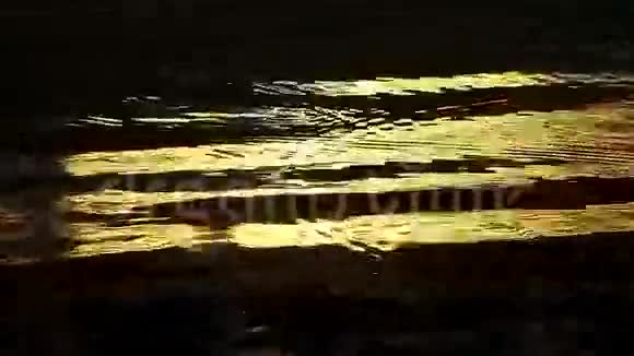 金色的水光循环视频的预览图