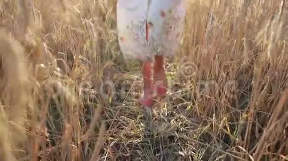 在成熟的麦田里放松的女人的腿视频的预览图