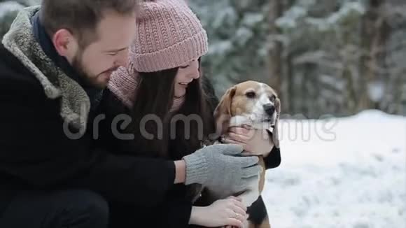 可爱的年轻潮人夫妇在冬季公园玩得开心他们的狗在一个光明的日子和微笑男女游戏视频的预览图