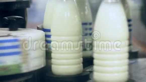 牛奶生产线上的标签机给奶瓶贴上标签产品标签视频的预览图