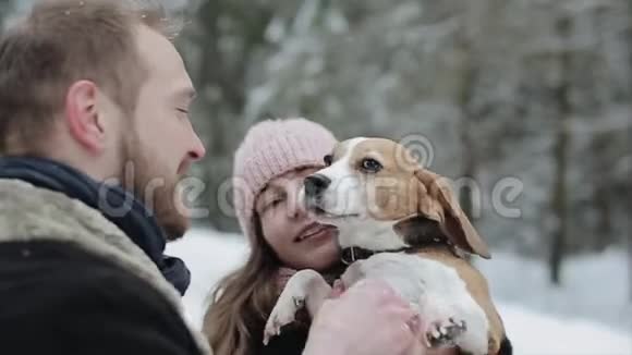 可爱的年轻潮人夫妇在冬季公园玩得开心他们的狗在一个光明的日子和微笑男女游戏视频的预览图