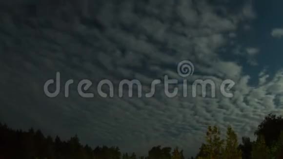 黎明夜空中的云在星星的背景下在树上移动视频的预览图