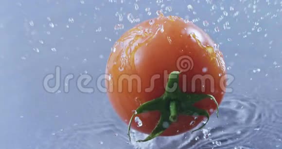 令人兴奋的番茄掉进水里慢动作2k视频推240fps视频的预览图