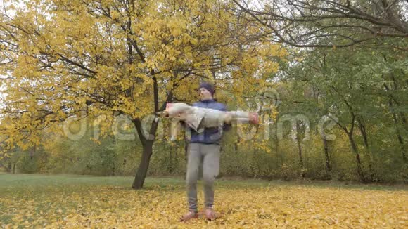 爸爸在秋天的公园里把孩子变了爸爸在黄叶的背景下旋转着一个孩子视频的预览图