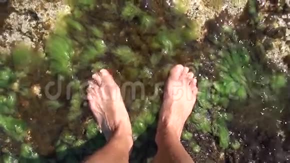 在海水中赤脚视频的预览图