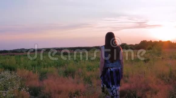 穿着裙子的年轻女子正沿着一片绿色的田野在野花丛中散步夕阳西下慢动作视频的预览图