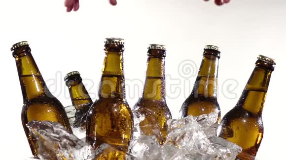 一瓶啤酒在冰上一群朋友把它们拉出来白色背景关门视频的预览图