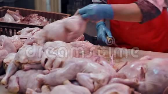 食品工业中的家禽加工视频的预览图