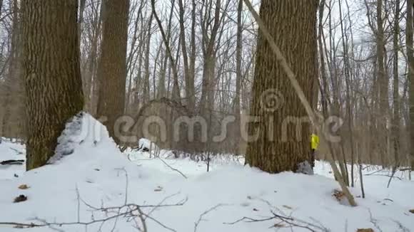 穿着黄色外套的运动员在寒冷的冬日在森林里奔跑视频的预览图